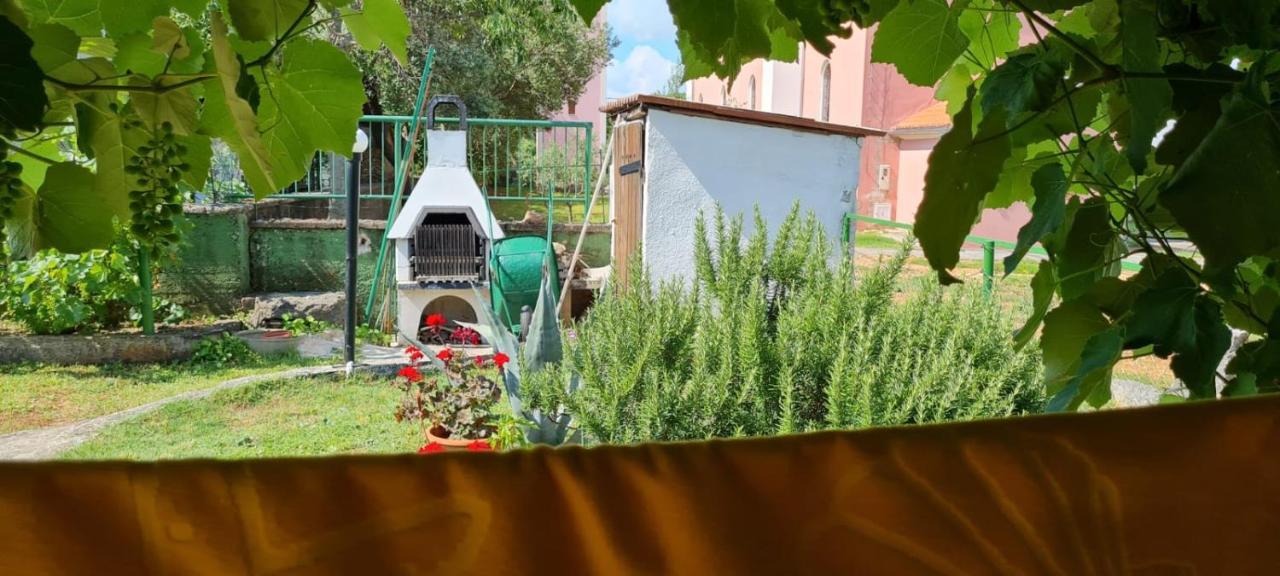 Apartmani Centar Seline Paklenica Kültér fotó